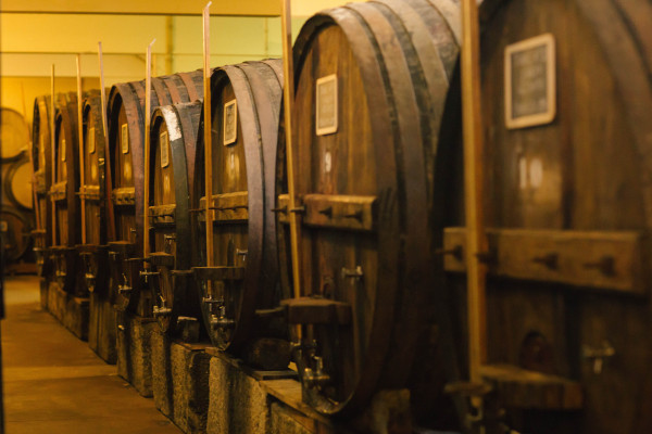 Explore the winery with our guide!