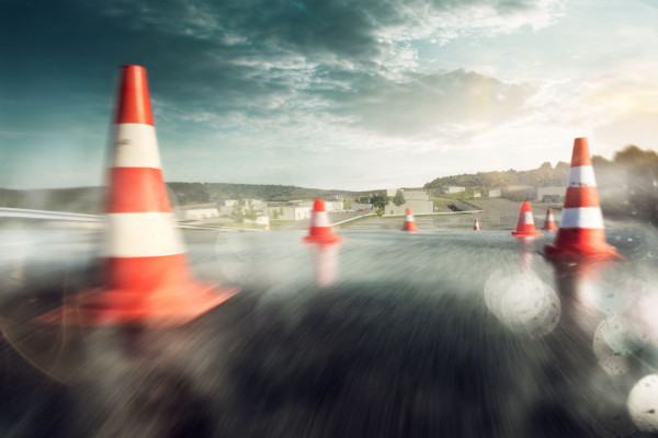 3 hours of training on the dynamic area