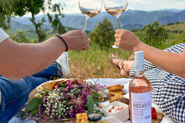 Picnic in the Vineyards