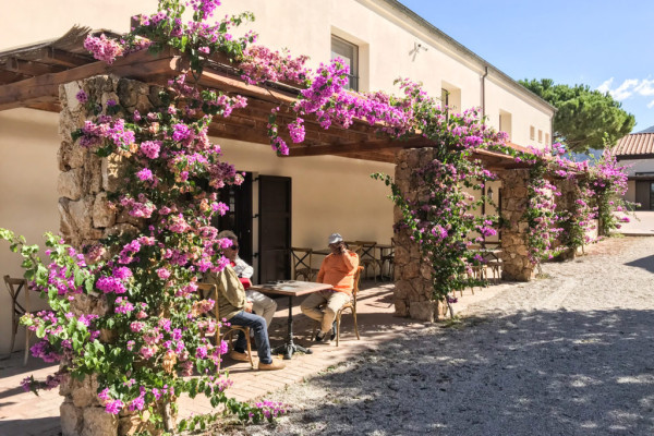 Private Tour: Paestum, Mozzarella Bufala guided tour and lunch included

