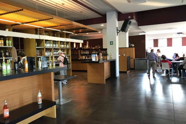 Guided Tour: Distillery, Limoncello, Cooking Class and Lunch