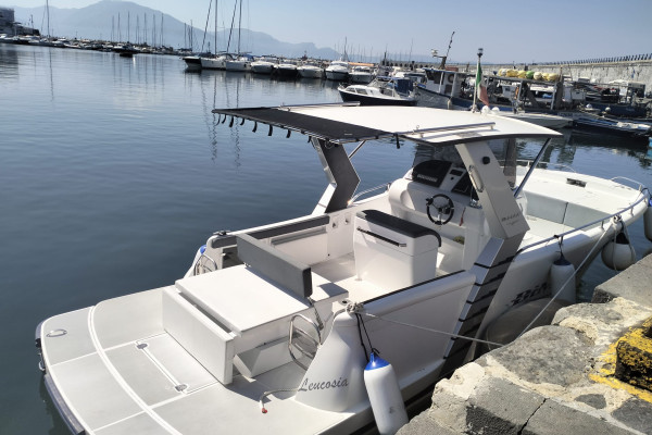 Day by boat from Naples to the Island of Capri with Bimax 28
