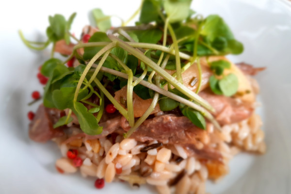 Picnic prepared by chef Kris Wijnen using fresh produce : example of main course