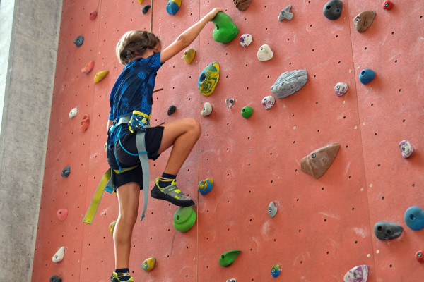 Mini-Koala cours d'escalade à l'auberge de jeunesse à Echternach