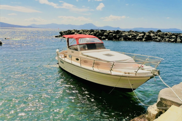 Day by boat from Naples to the Island of Capri or Procida

