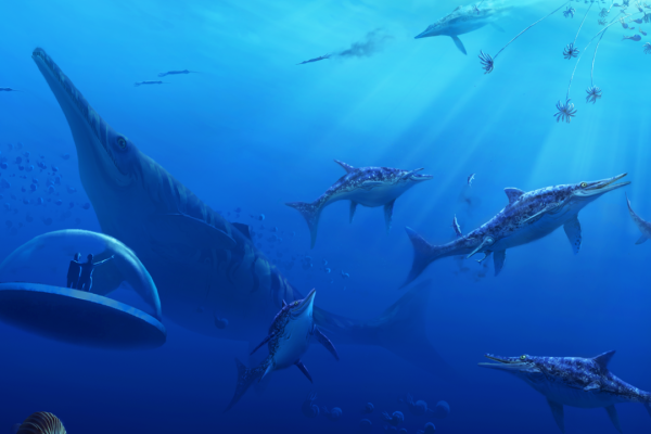 Virtual Reality Expedition: Life Chronicles