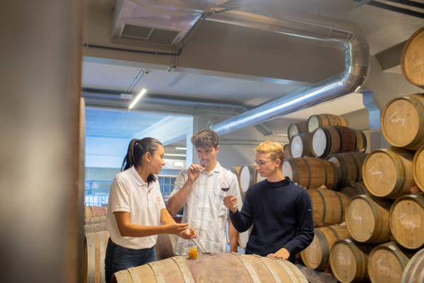 Taste directly from the barrels