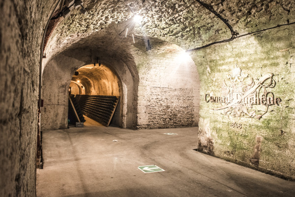 The cellars
