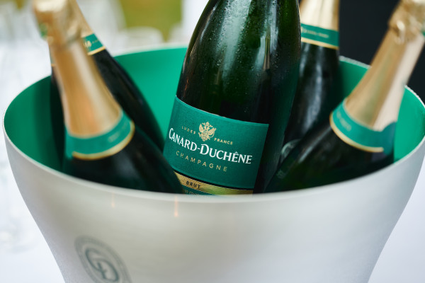 Magnum of brut in a basin