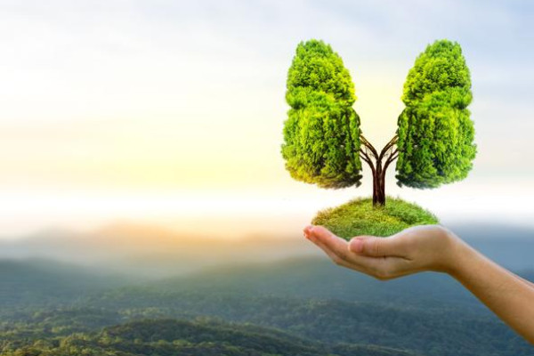 Breath Relief Regeneration Leave 