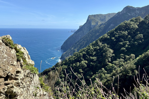 Dramatic cliffs and coastal scenery along the Larano trail in Madeira.