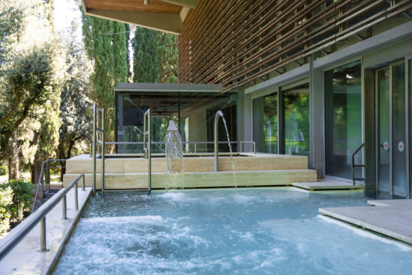 Liver Focus Regeneration Leave 