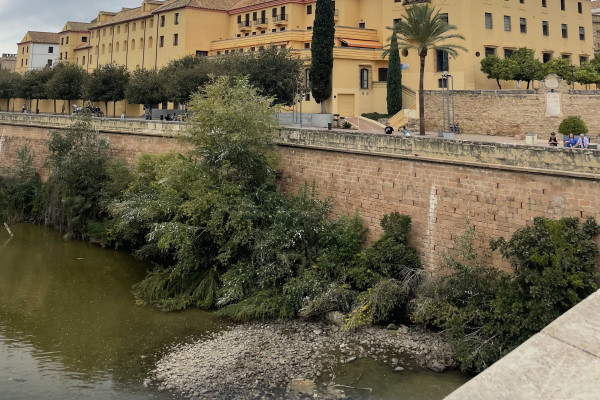 Guadalquivir River