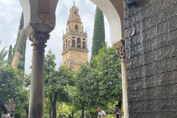 Orange Trees Courtyard