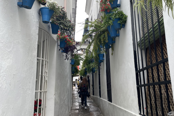 Flowers Alley