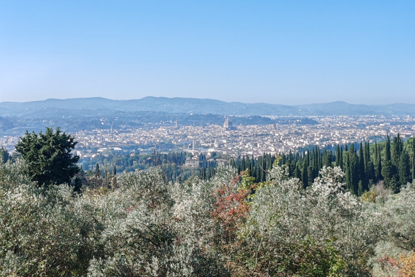 Views of Florence from the top of the hills
