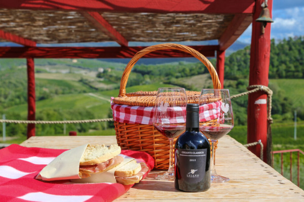 PIC NIC BASKET