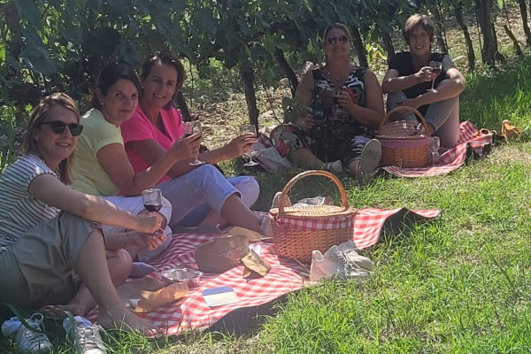 PIC NIC TIME IN THE VINEGARDS