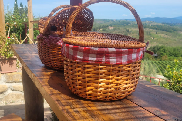 PIC NIC