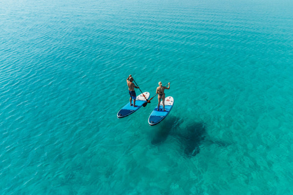 paddle surf rental