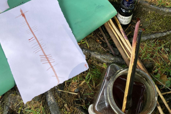 Experiment with medieval Inks, the same type used to write the Book of Kells