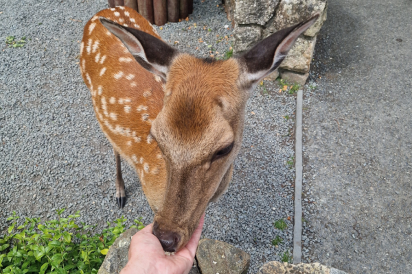 Who knows who you might meet!