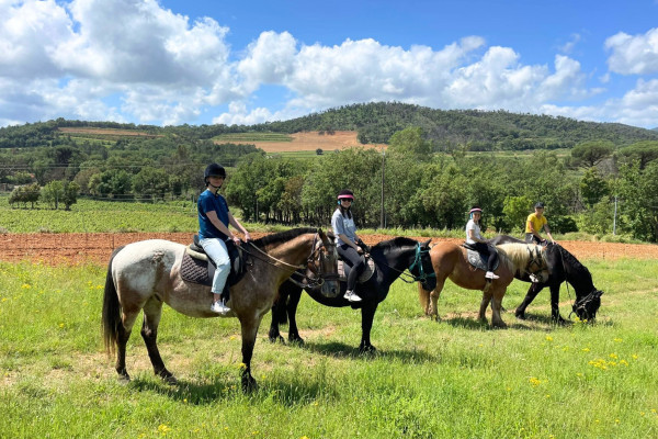 Horseriding Grimaud and wine tasting