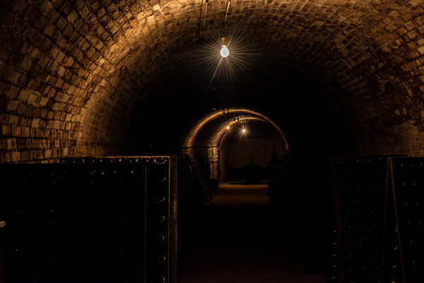 Our cellar