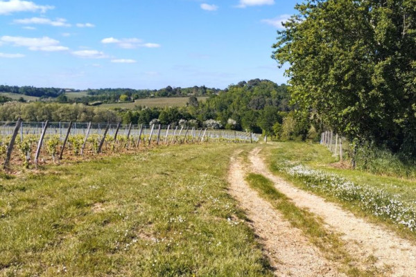 Ride your gravel bike through the most iconic landscapes of the Bordeaux region