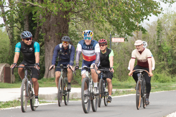 Ride high quality E-bikes, have lunch in an authentic restaurant and enjoy a wine tasting in a family winery.