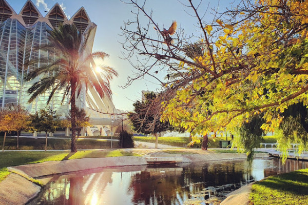 Ride through the glorious Turia park