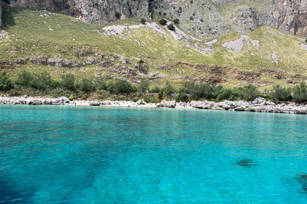 Capogallo