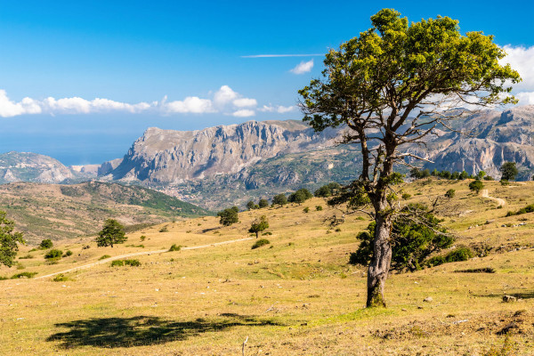 Nebrodi mountains trek