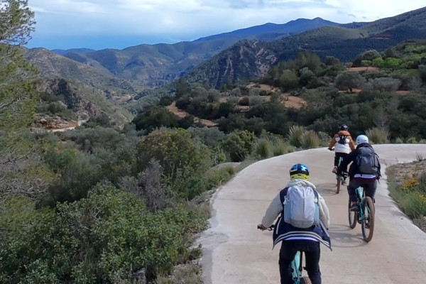 Discover the beauty of Sierra Calderona on our exclusive mountain bike tour from Valencia—just you, a friend, a guide, and the open trail