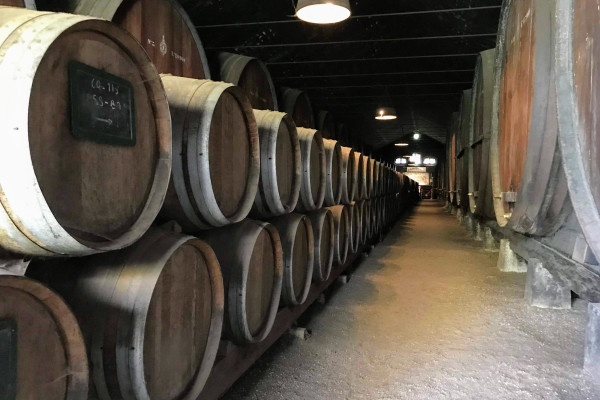 Explore elegant wine cellars and soak in centuries of winemaking tradition in the heart of Setúbal.