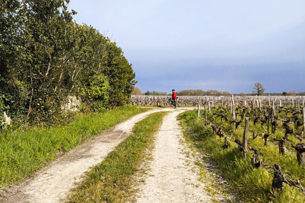 Gravel Bike routes near Bordeaux : Discover the Médoc vineyards by bike and explore scenic and accessible gravel bike routes off the beaten tracks.