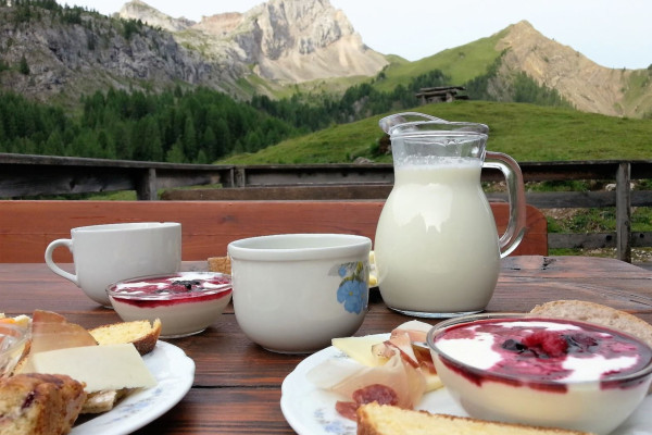 Archivio fotografico ApT Val di Fassa
