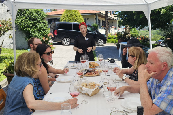  Visit and Wine Tasting at a Douro Estate
