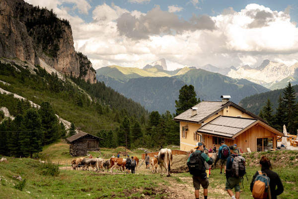 Archivio Immagini ApT Val di Fassa