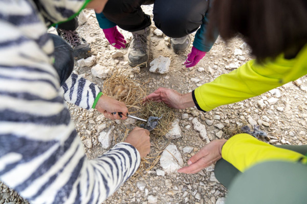 Survival Camp all’Antermoia con @donnedimontagna - Archivio Azienda per il Turismo Val di Fassa