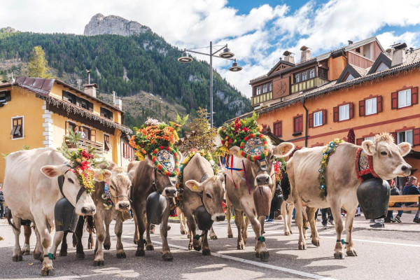 Archivio Azienda per il Turismo della Val di Fassa