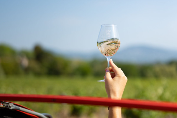 Wine tour 2CV Saint-Tropez - Elia Kuhn Photographe - Beyond The Wine 