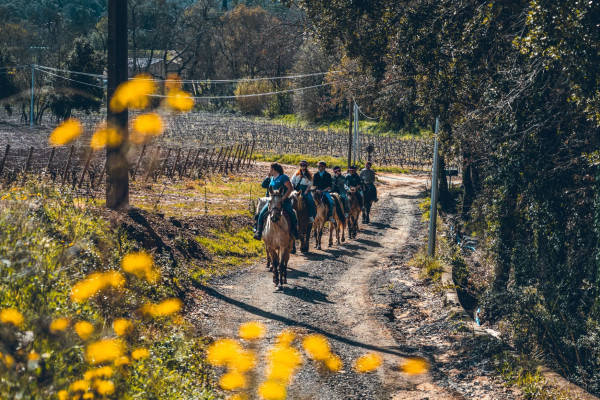 Horseriding Grimaud and wine tasting - Beyond The Wine