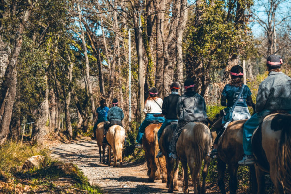 Horseriding Grimaud and wine tasting - Beyond The Wine