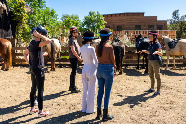 Horseriding Grimaud and wine tasting - Beyond The Wine