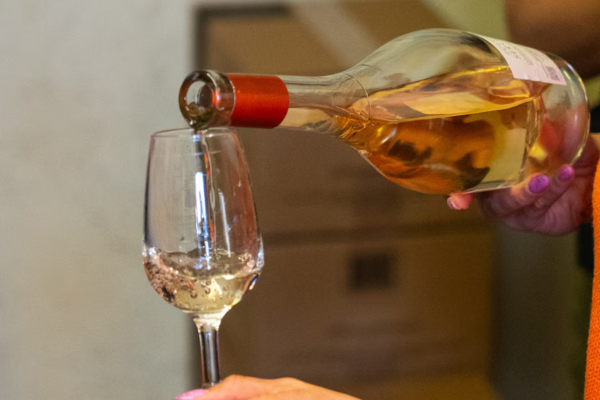 Horseriding Grimaud and wine tasting - Beyond The Wine