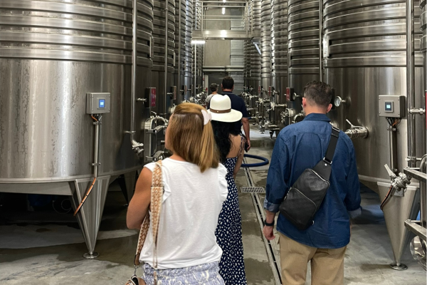 Wine estate tours from Saint-Tropez - Beyond The Wine 