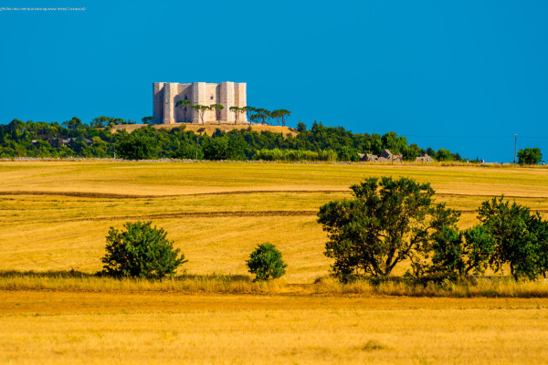 Castel del Monte & Alberobello 