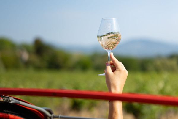 Wine Day in a 2CV or Van, Saint-Tropez