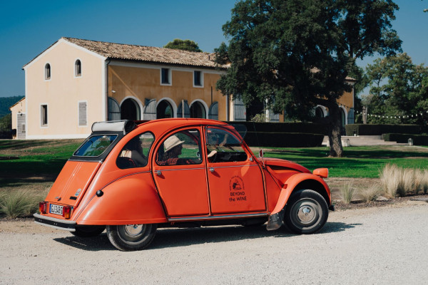 Wine Day in a 2CV or Van, Saint-Tropez